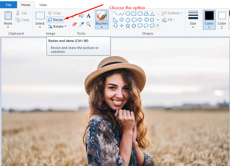 dialog box that will pop out, choose to resize by percentage or pixels