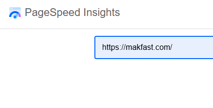 PageSpeed Insights with URL entered.