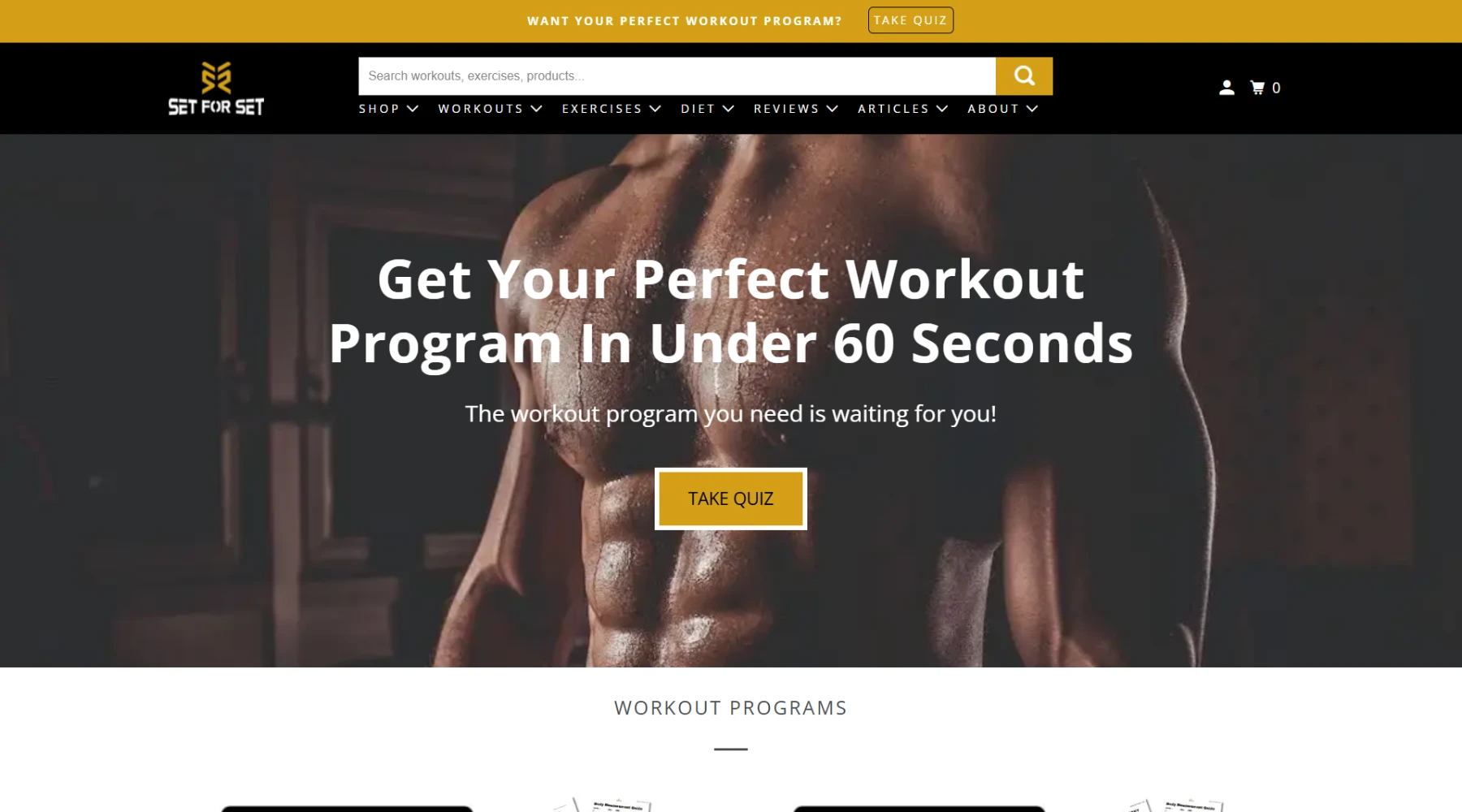 Display of diverse styles in top free fitness WordPress themes.