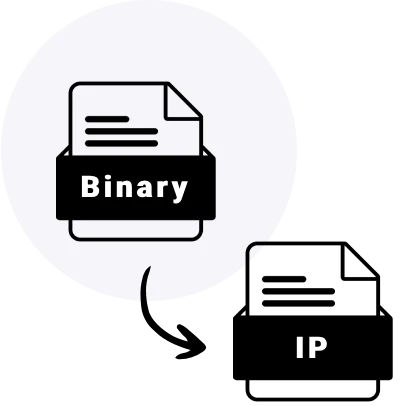 Binary to IP Converter​