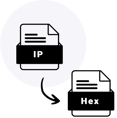 IP to Hex Converter