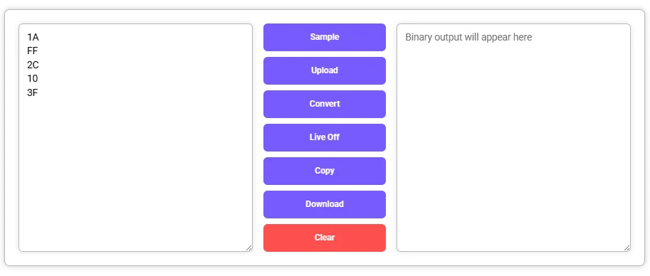 Hex to Binary Converter with input values entered, output panel is empty.